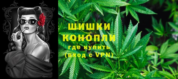 гидра Алзамай